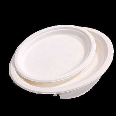 Op maat gedrukte composteerbare smoothie kopjes suikerriet bagasse plaat 20 oz