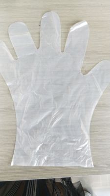 OEM composteerbare biologisch afbreekbare wegwerphandschoenen Voedselbereiding