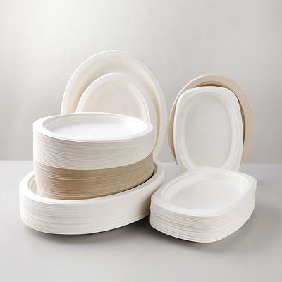 Op maat gedrukte composteerbare smoothie kopjes suikerriet bagasse plaat 20 oz