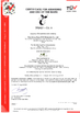China Shandong Aisun Environmental Protection Material Co., Ltd. certificaten